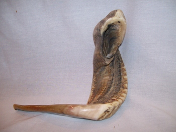 26 Inch Battle Cry Rams Horn Shofar